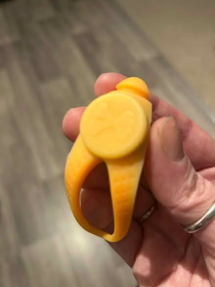Photo of free Light for dog collar (CV34 5JQ) #1