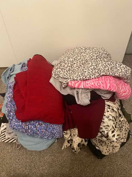 Photo of free Size 14 ladies clothes (PR5 Bamber Bridge) #1