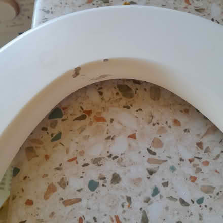 Photo of free Toilet seat (Central Presteigne) #1