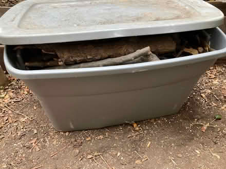 Photo of free Firewood (Hill East) #2