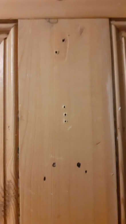 Photo of free Internal door (Portslade by Sea BN41) #2