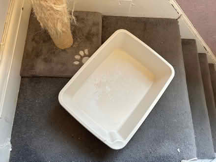 Photo of free Litter tray for small mammal (Cowley OX4) #1