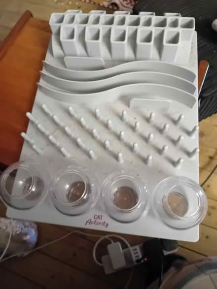 Photo of free Cat toy (Waddon CR0) #1