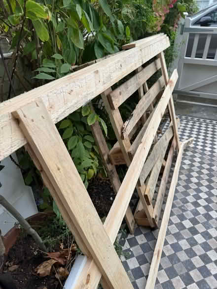 Photo of free Scrap wood (Southfields SW18) #1