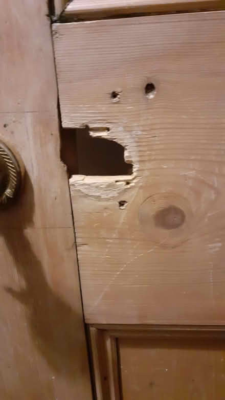 Photo of free Internal door (Portslade by Sea BN41) #4