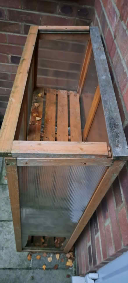 Photo of free Greenhouse (South Tonbridge TN9) #1