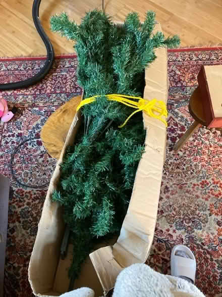 Photo of free Christmas Tree (Burbage SK17) #2