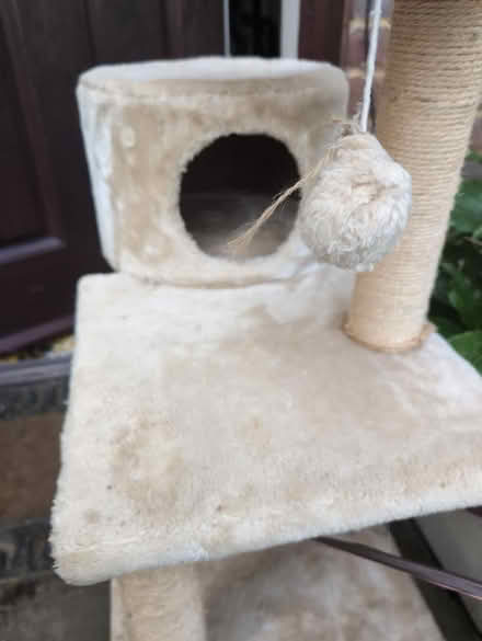 Photo of free Cat tree (Ockley) #2