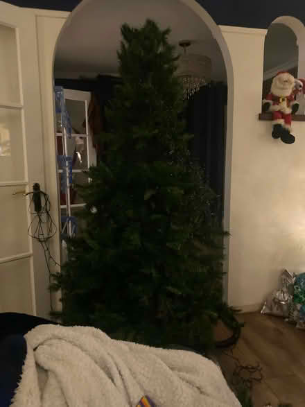 Photo of free Christmas tree with lights (Droiwich WR9) #1