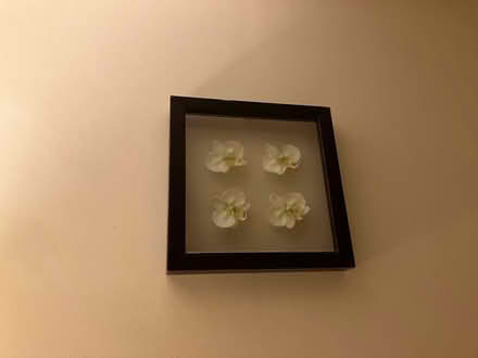 Photo of free Four wall decorations (Harlow CM18 staple tye) #2