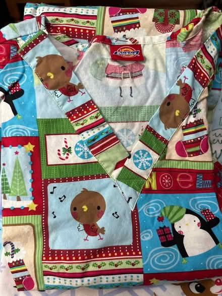 Photo of free Women’s holiday scrub tops 4 (Prospect Park) #4