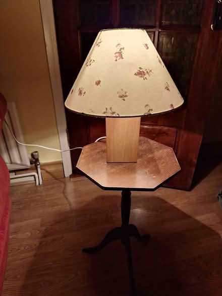 Photo of free 2 Lamps, 1 Sml Table & 1 Aloe plant (Near Tesco Clearwater D11) #2