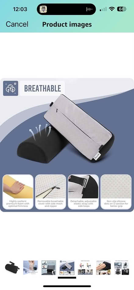 Photo of free Lumbar Support Cushion (Molesey KT8) #2