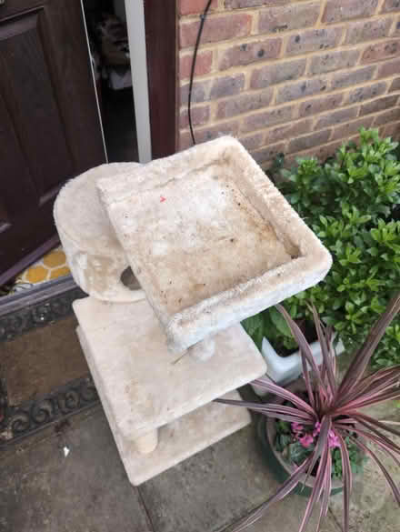 Photo of free Cat tree (Ockley) #3