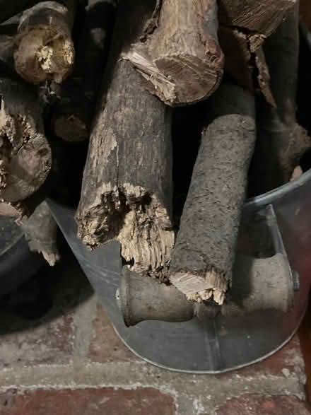 Photo of free Firewood (Hill East) #1