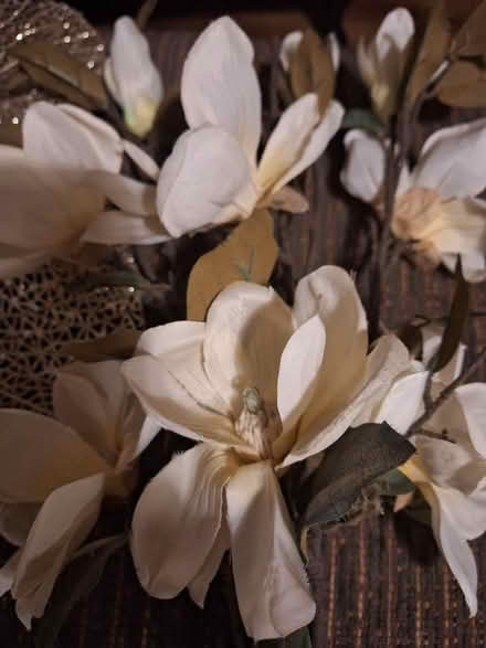 Photo of free Faux flowers (Hampden Park BN22) #2