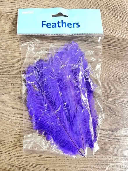 Photo of free Pack of 2 purple feathers unopenec (Finchampstead RG40) #1