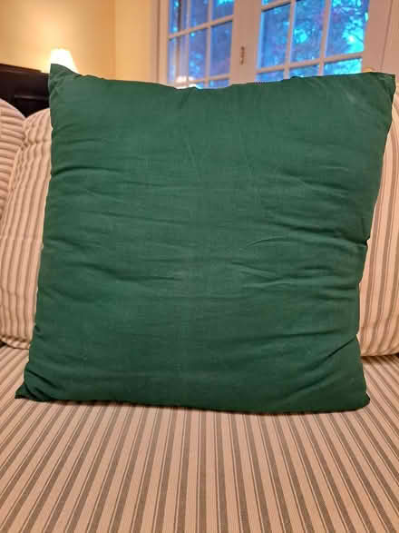Photo of free Holiday pillow (Pasadena) #2