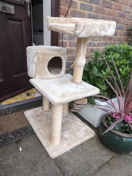 Photo of free Cat tree (Ockley) #1