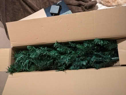 Photo of free Small Christmas tree (Caversham RG4) #1