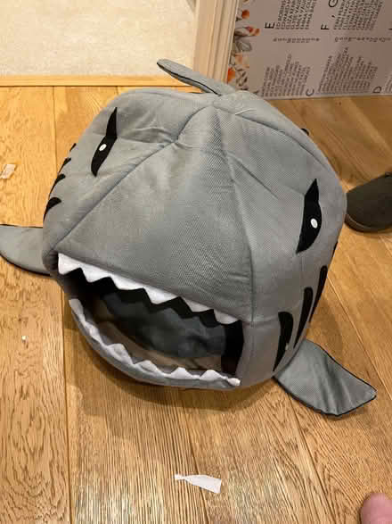 Photo of free Shark-shaped cat basket (Burnham SL1) #1