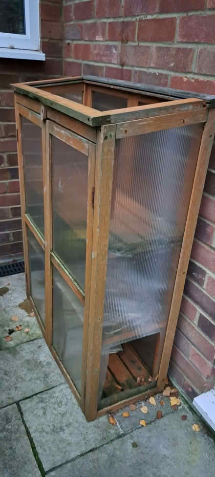 Photo of free Greenhouse (South Tonbridge TN9) #4