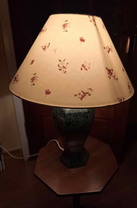 Photo of free 2 Lamps, 1 Sml Table & 1 Aloe plant (Near Tesco Clearwater D11) #1