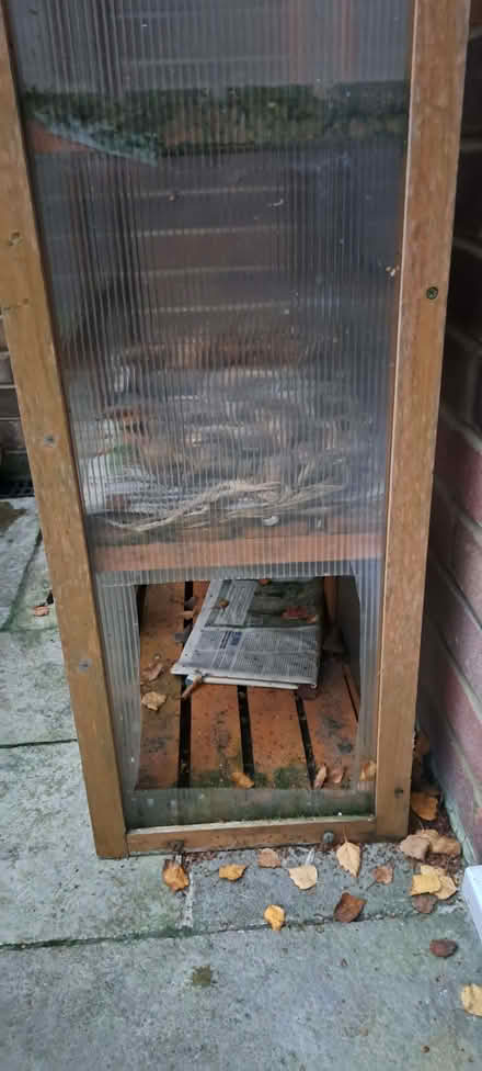 Photo of free Greenhouse (South Tonbridge TN9) #2