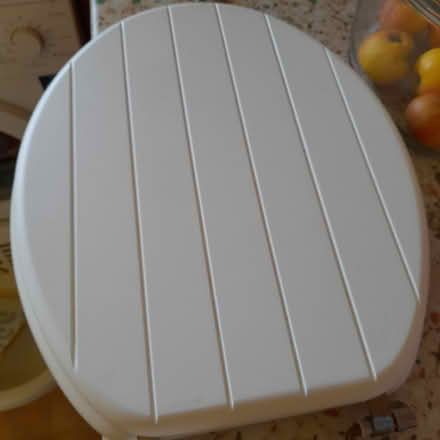 Photo of free Toilet seat (Central Presteigne) #2