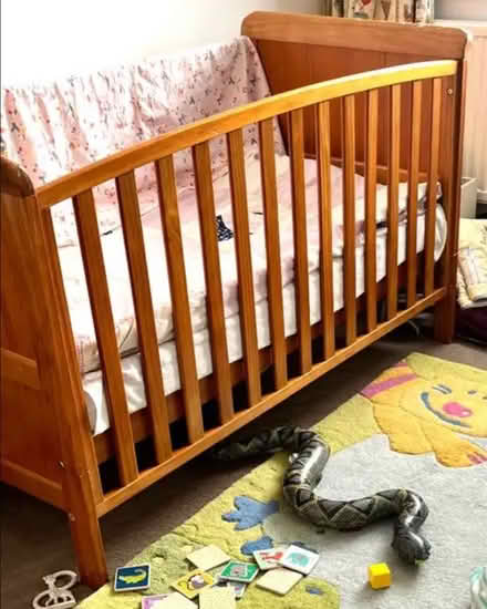 Photo of free Cot (converts to toddler bed) (Raynes Park SW20) #1