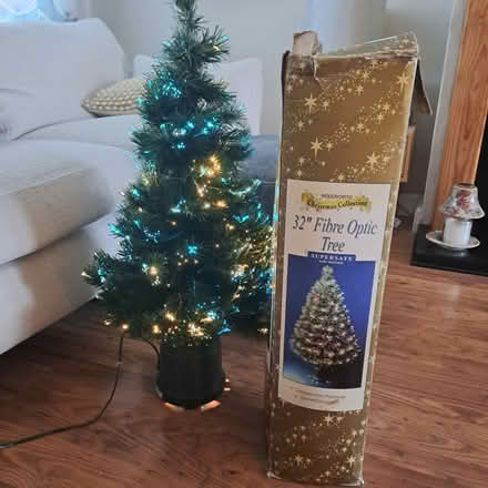 Photo of free Xmas Tree fibre optic (Watford) #1