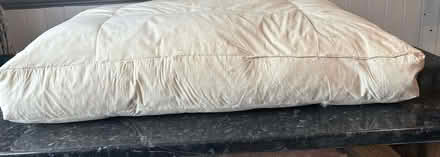 Photo of free Feather filled seat pad for Sofa (Matlock DE4) #1