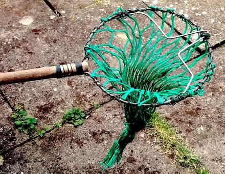 Photo of free Apple Picker (Central Crouch End N8) #1