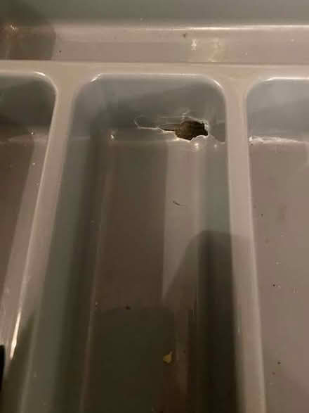 Photo of free Cutlery Tray (IP4) #1