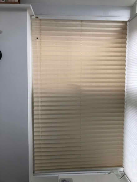 Photo of free 8 Cream Conservatory blinds - some need re-stringing (Hammerfield HP1) #3