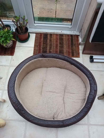 Photo of free Large dog bed (South Reading RG2) #1