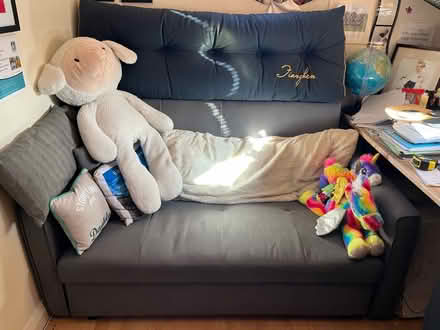 Photo of free sofa bed (Salford Quays M50) #1