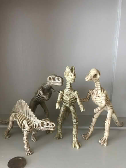 Photo of free Four Small Dinosaurs (Harvey Close BS22) #2