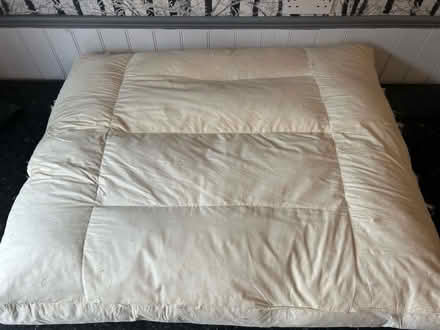 Photo of free Feather filled seat pad for Sofa (Matlock DE4) #2