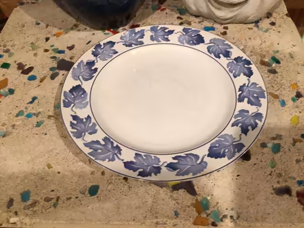 Photo of free 5 dinner plates (SW Hinsdale) #1