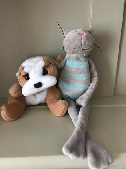 Photo of free Two Small Friends Looking For New Home (Harvey Close BS22) #1