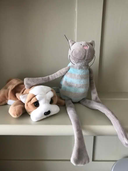 Photo of free Two Small Friends Looking For New Home (Harvey Close BS22) #2