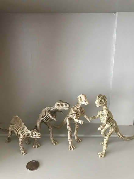 Photo of free Four Small Dinosaurs (Harvey Close BS22) #1
