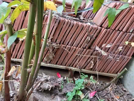 Photo of free Roof Tiles (Lexden CO3) #2