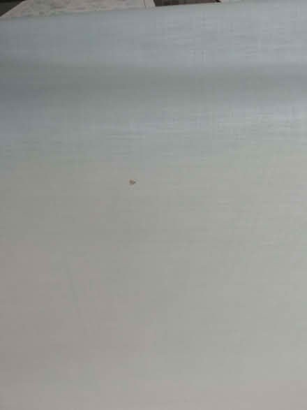 Photo of free Roller blind (Emmer Green RG4) #3