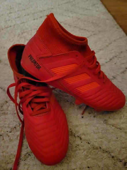 Photo of free Predator football boots (Kirkby L32) #1