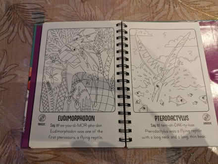 Photo of free Dinosaurs, magic water colouring (Tonbridge TN10) #3