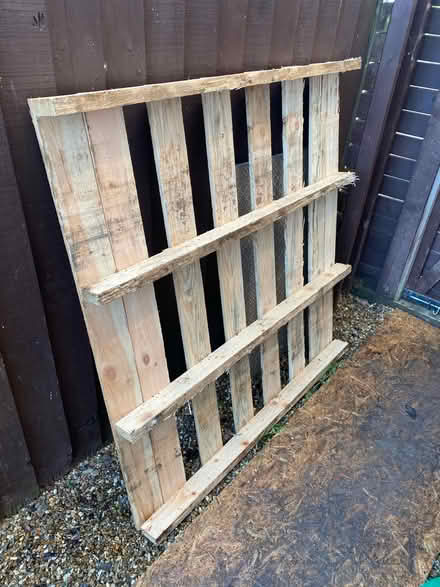 Photo of free Pallet (Woodford Green IG8) #1