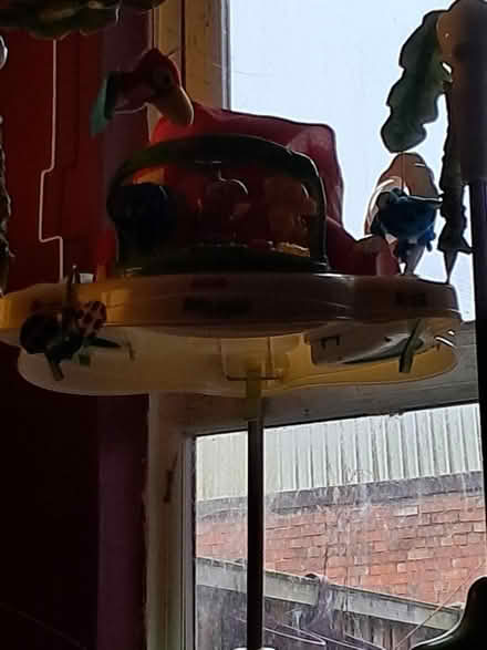 Photo of free Rainforest jumparoo (DE24) #1