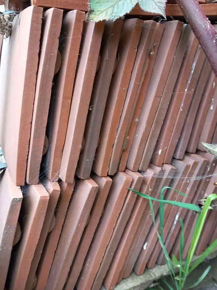 Photo of free Roof Tiles (Lexden CO3) #4
